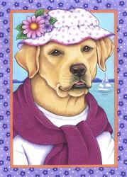 Yellow Lab Sunhat | Obraz na stenu