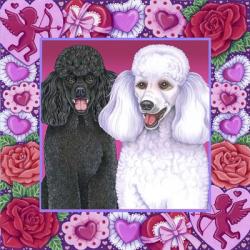 Valentine Poodles | Obraz na stenu