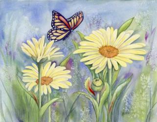 Butterfly Daisy | Obraz na stenu