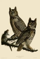 Great Horned Owl | Obraz na stenu