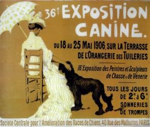 Exposition Canine | Obraz na stenu