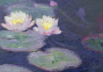 Crop Water Lilies | Obraz na stenu