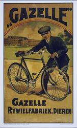 Gazelle Bicycle | Obraz na stenu