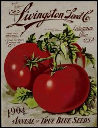 Livingston Tomato | Obraz na stenu