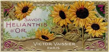 Savon Sunflowers | Obraz na stenu