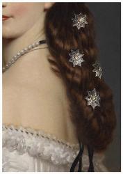 Hair Jewels | Obraz na stenu