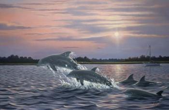 Dolphins | Obraz na stenu