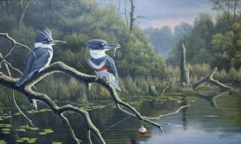 Fisherman's Luck, Belted Kingfishers | Obraz na stenu
