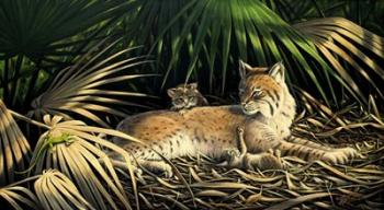 Sunny Spot Bobcat with Kittens | Obraz na stenu