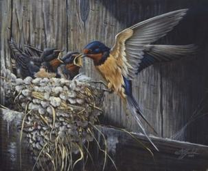 Country Living  - Barn Swallows | Obraz na stenu