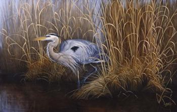 Set In Gold - Great Blue Heron | Obraz na stenu