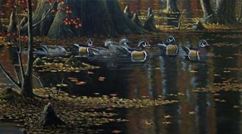 Cypress Jewels - Wood Ducks | Obraz na stenu