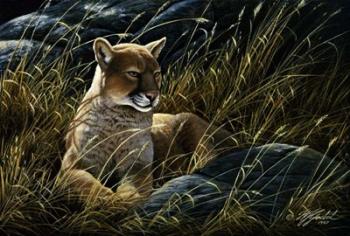Cougar In The Grass | Obraz na stenu