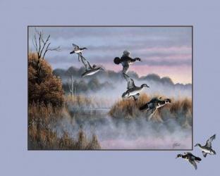 Ducks In Flight 2 | Obraz na stenu