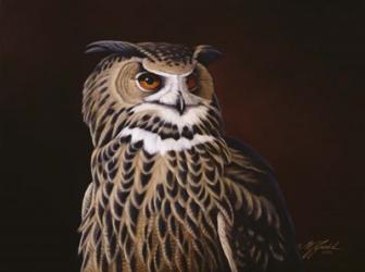Eagle Owl | Obraz na stenu