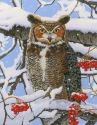 Great-horned Owl | Obraz na stenu