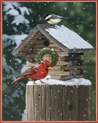 Cardinal / Chickadee In Snow | Obraz na stenu
