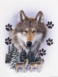 Wolf Montage/ Winter | Obraz na stenu