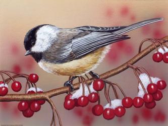 Chickadee With Berries | Obraz na stenu