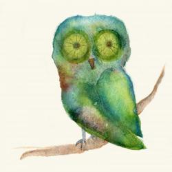 Green Owl | Obraz na stenu