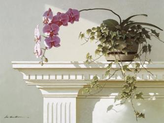 Orchid On Mantle | Obraz na stenu