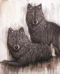 Wolf Pair | Obraz na stenu
