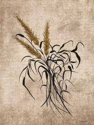 Wheat Grain | Obraz na stenu