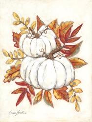 White Pumpkin Fall Foliage | Obraz na stenu