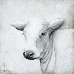 January Cow II | Obraz na stenu