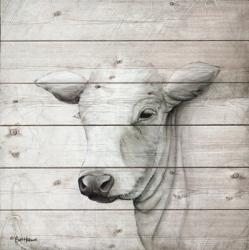 January Cow II | Obraz na stenu