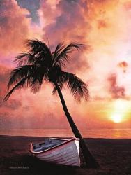 Palm Tree Sunset | Obraz na stenu