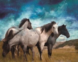 Starry Night Horse Herd | Obraz na stenu