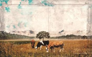 Vintage Grazing Cattle | Obraz na stenu