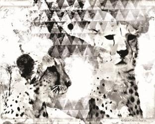 Modern Black & White Cheetahs | Obraz na stenu