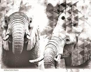 Modern Black & White Elephants | Obraz na stenu