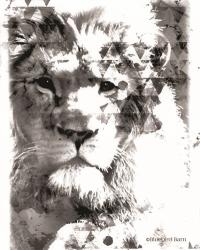 Modern Black & White Lion | Obraz na stenu