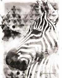 Modern Black & White Zebra | Obraz na stenu