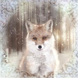 Enchanted Winter Fox | Obraz na stenu