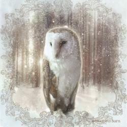 Enchanted Winter Owl | Obraz na stenu