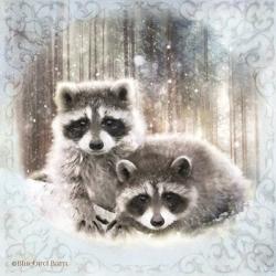 Enchanted Winter Raccoons | Obraz na stenu