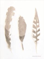 Soft Feathers Study | Obraz na stenu