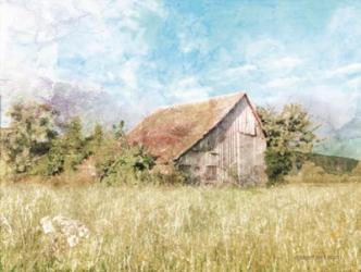 Spring Green Meadow by the Old Barn | Obraz na stenu