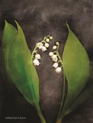 Contemporary Floral Lily of the Valley | Obraz na stenu