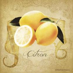 Vintage Lemons Citron | Obraz na stenu