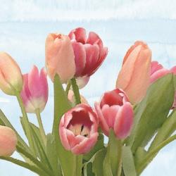 Fresh Spring Tulips IV | Obraz na stenu