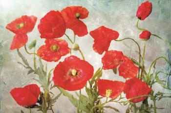 Poppies | Obraz na stenu