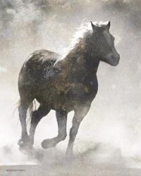 Textured Dark Running Horse | Obraz na stenu