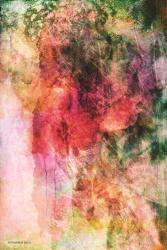 Soft Color Floral Abstract | Obraz na stenu