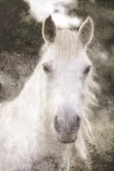 White Horse Mystique | Obraz na stenu