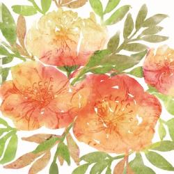 Peachy Floral III | Obraz na stenu